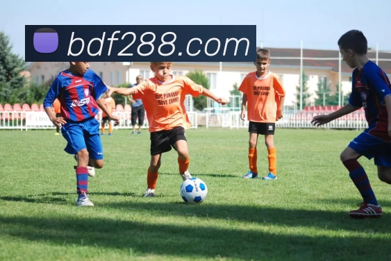 博到发娱乐城官网服务体系